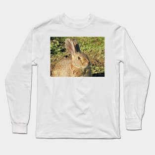 Rabbit, wildlife, gifts, Cute Little Bun bun Long Sleeve T-Shirt